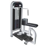 Rotary Torso Rotation Home Gym Rorso Fitness Equipment Hammer Strength