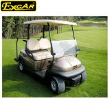 New Electric Power China 2 Seater Golf Cart