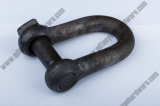 Selfcolor Shackle Trawling Type D Shackle