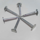 Galvanized Cupper Nail with Factory Price