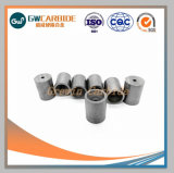 Finshed Tungsten Carbide Dies for Wire Drawing