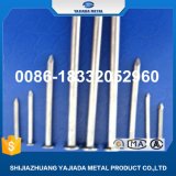 Iron Material Common Nail Type for Building Wood Wire Nails