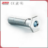 Customized DIN Stud Screw Stainless Steel Bolt for Building