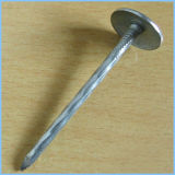 Galvanized Umbrella Head Roofing Nail at Low Price