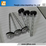 High Quality Umbrella Head Roofing Nails with Washers