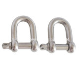 D Shackle Stainless Steel and Carbon Steel Marine Rigging Hardware