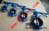 Stainless Manual Butterfly Valve for Building Pipelines