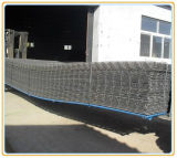 Steel Reinforcing Square Mesh for Concrete Building