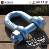 Ce Standard Carbon Steel Drop Forged Safety Shackle