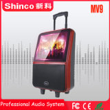 Shinco Professional 14 Inches Trolley Speaker with TFT LCD Screen
