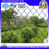 Electro Galvanized Chain Link Fence with ISO9001 for Building Materials