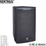Wholesale Competitive Price 300W Stage MP3 Power Portable Speaker
