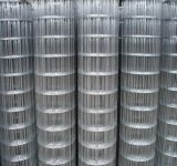 PVC Coated /Galvanized Welded Wire Mesh for Building/Construction Material