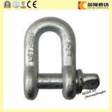 Us Type Hot Dipped Galvanized Shackle with Pin