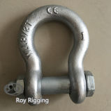 HDG Us Type Drop Forged Lifting Shackle