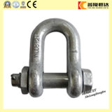 G2150 Bolt Type Electric Galvanized Steel Drop Forged D Shackle