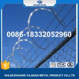 Competitive Price with Best Selling Concertina Razor Wire