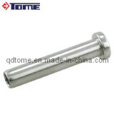 Stainless Steel Inside Thread Dome head Hardware