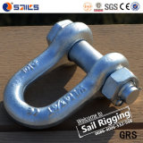 Hot DIP Galvanized G2150 D Ring Shackle