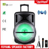 Feiyang/Temeisheng Hot Selling Power Trolley Speaker F15-1