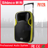Shinco Top Sale Bluetooth Rechargeable Wireless Trolley Projector Speaker