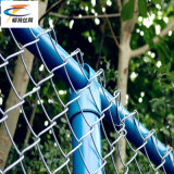 Hot! PVC Coat Chain Link Fencing (China factory)