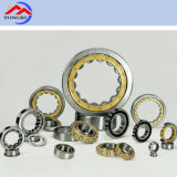 High Quality/ Waterproof/ Cylindrical Roller Bearing/ for Machine