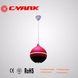 C-Yark High Quality Hi-Fi Pendant Speaker