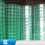 PVC/ Stainless Steel/ Galvanized Welded Wire Fencing Mesh /Panel/Netting for Building