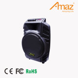 Portable Studio Power PRO Audio Active Powered Speaker Al1258 Amaz/Temeisheng/Kvg
