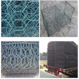 8G/M2 to 300G/M2 Galvanzied or PVC Coated Hexagonal Wire Mesh