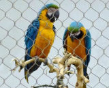 China Aviary Netting - Stainless Steel Wire Netting Home of Birds