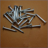 Bright Galvanized Clout Nail for Roofing Sheet Construction