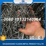 Manufacture for Wire Nails, Wood Wire Nails