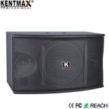 150W 10 Inches 3 Frequency Division Driver Speaker Box (KB-450)