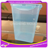 Plastic Injection Transparent Sealed Box Mould
