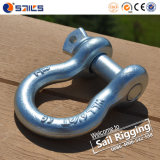 Us Type Forged Screw Pin Anchor Shackle 209