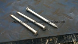 Galvanized Square Boat Nails for Building Material