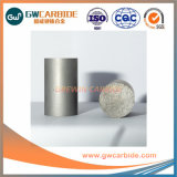 Tungsten Carbide Cold Forging Stamping Dies for Machine