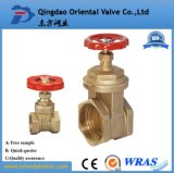 High Quality, Brass Gate Valve with Full Brass Material, Pn16