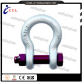 G2130 Marine Hardware Bow Shackle with Competitive Price