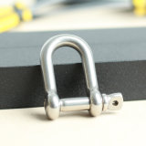 Stainless Steel D-Shackle for Marine Hardware