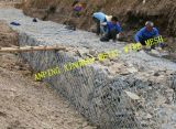 Anping Factory of 2X1X1 Galvanized / PVC Coated Wire Mesh Gabion