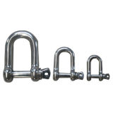 Stainless Steel 304/316 Shackle with High Quality