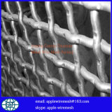 Crimped Wire Mesh for Screen