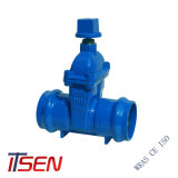 DIN3352 F5 Cast Iron Dn110 Gate Valve with Socket End