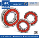 6005 2RS High Temperature Ball Bearings for Oven Furnace Machinery