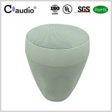 5.25 Inch 2 Way PRO Home Theater Speaker with Cloth Edge Coated Paper Cone for PA