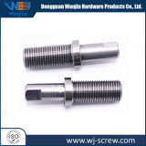 Direct Factory Manufacturer CNC Screw for Machine