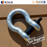 U. S. Type Screw Pin Anchor Forged G209 Shackle